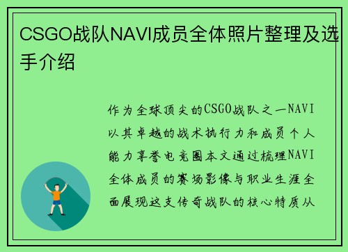 CSGO战队NAVI成员全体照片整理及选手介绍