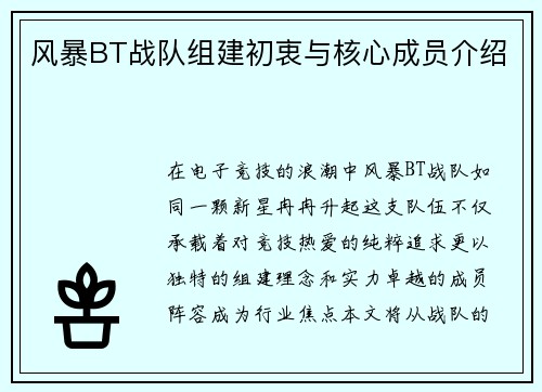 风暴BT战队组建初衷与核心成员介绍