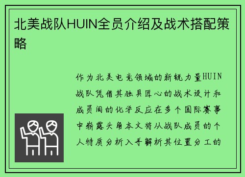 北美战队HUIN全员介绍及战术搭配策略